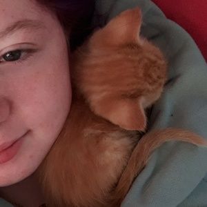 Meet your Posher, Autumn